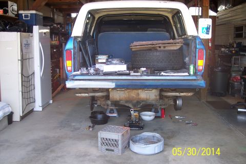 1978 Ford Bronco - The rear of a 1978 Ford Bronco is visible, with its tailgate down and spare tire loaded inside.