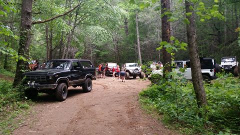 1986 Ford Bronco - A group of off-road vehicles are gathered in a wooded area, likely for an outdoor excursion.