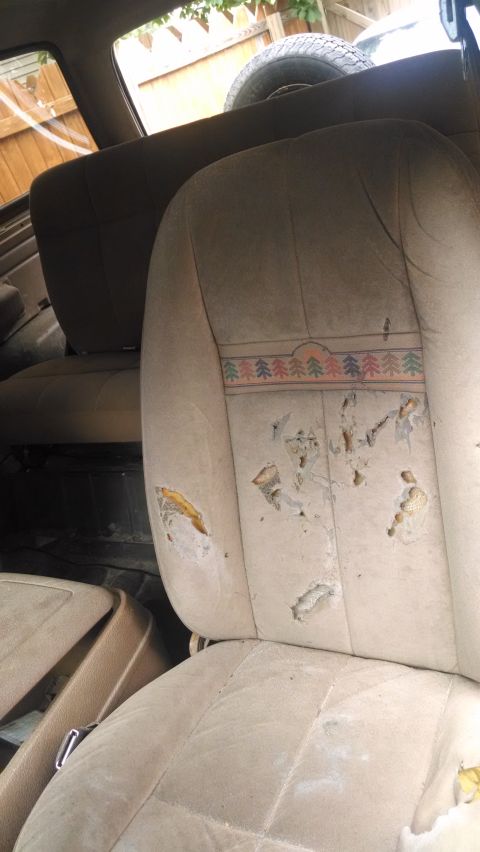 1990 Ford Bronco photo