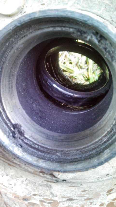 1979 Ford Bronco - A close-up view of a wheel bearing assembly shows wear and accumulated debris.