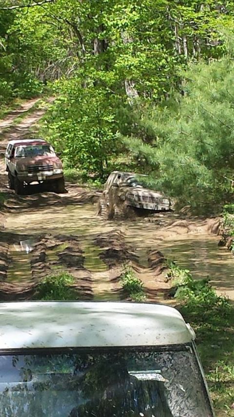 1979 Ford Bronco - Off-road vehicles navigate a challenging muddy path surrounded by lush green trees.