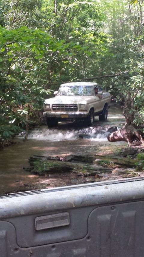 1979 Ford Bronco - A tan 1977 Ford F-Series truck navigates a stream in a forest, with water splashing around its tires.