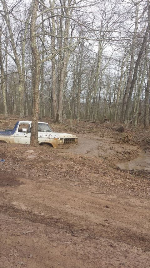 1979 Ford Bronco - A white and blue pickup truck is stuck deep in the mud, surrounded by trees and a muddy path.