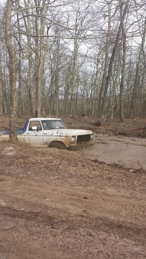 1979 Ford Bronco - White 1979 Ford Bronco is stuck deep in mud and trees.