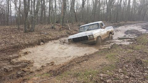 1979 Ford Bronco - A white 1979 Ford F-Series pickup truck navigates a muddy trail through a wooded area.