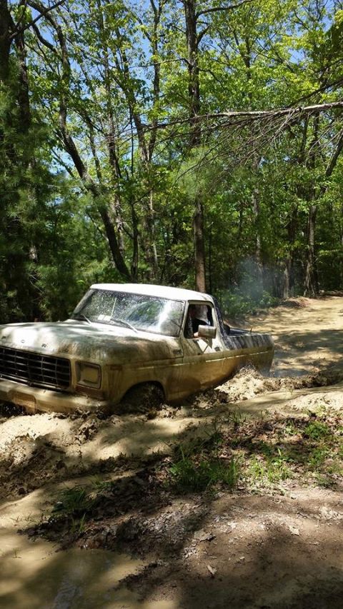 1979 Ford Bronco - This muddy Ford F-Series truck is stuck in a wooded area, its front-left wheel submerged in thick mud.