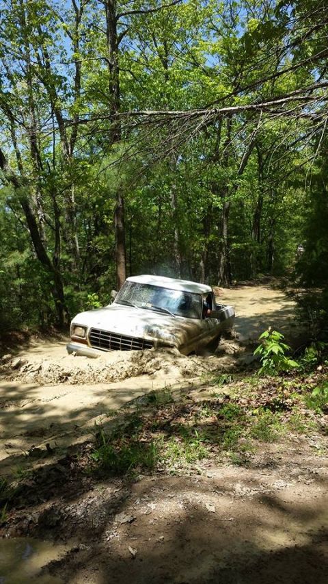 1979 Ford Bronco - A white Ford pickup truck is stuck in a muddy trail surrounded by trees.