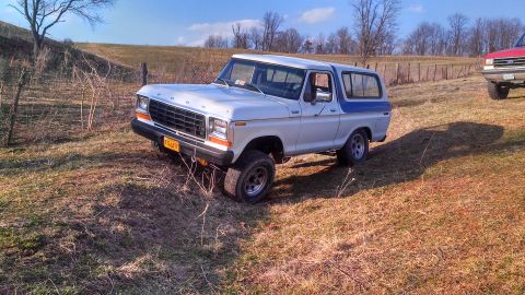 1979 Ford Bronco - A white Ford Bronco with a blue stripe is parked on a grassy incline under a clear sky.