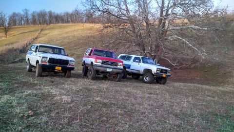 1979 Ford Bronco - Three SUVs, including a 1979 Ford Bronco, are parked on a grassy slope under a large tree.