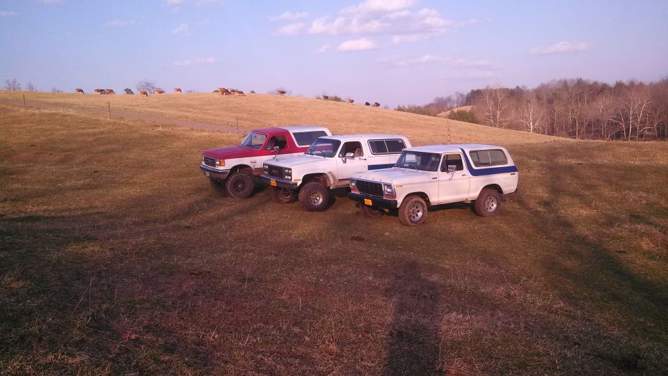 Three SUVs parked in a grassy field with trees and hills in the background. A herd of deer is visible on a distant hill