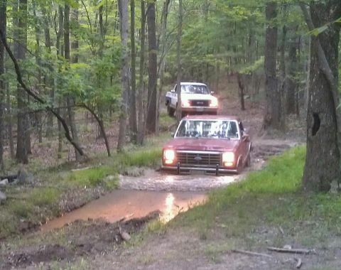 1979 Ford Bronco - Two pickup trucks navigate a muddy path through a wooded area.