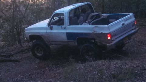 1979 Ford Bronco - A lifted pickup truck navigates a wooded trail with its rear facing the camera.