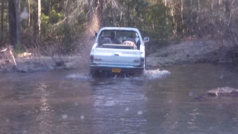1979 Ford Bronco - A white pickup truck navigates through a muddy, water-filled trail surrounded by trees.