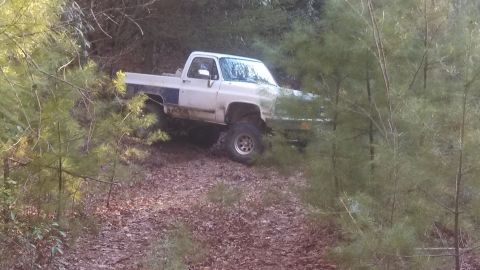 1979 Ford Bronco - A white pickup truck with a blue stripe navigates a wooded trail, its tires gripping the dirt path.