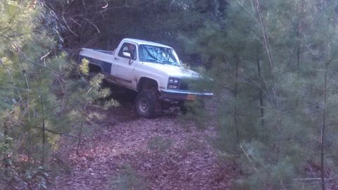 1979 Ford Bronco - Pickup truck navigates a wooded trail, showing off-road capability.