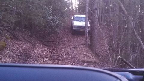 1979 Ford Bronco - 1979 Ford Bronco navigating a forest path.