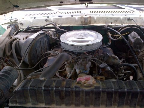 1978 Ford Bronco - Close-up view of an engine bay, a chrome air cleaner and radiator.