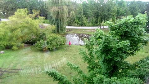 2000 Mercury Grand Marquis - A person stands near a pond in a grassy area surrounded by trees.