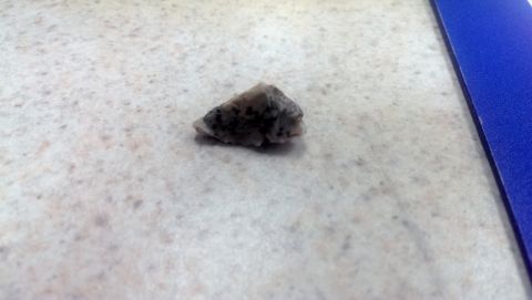 2000 Mercury Grand Marquis - A small, grey and black rock rests on a speckled surface beside a blue object.