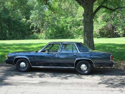 1991 Ford LTD Crown Victoria - Side profile of a dark blue four-door sedan with steel wheels and dog-dish hubcaps parked on pavement under a large tree.
