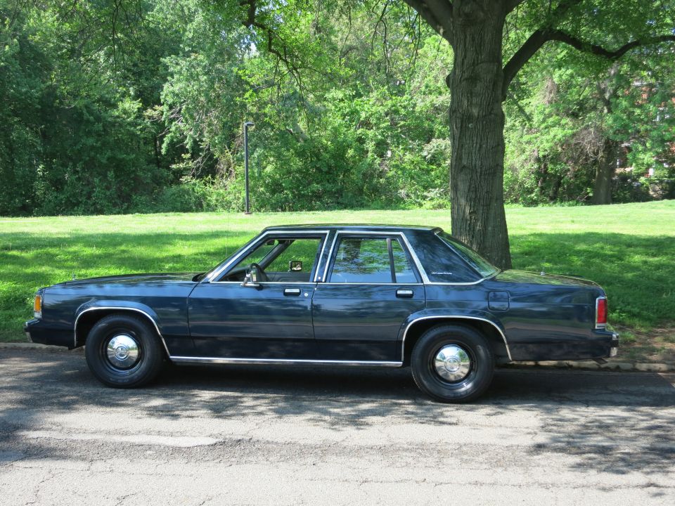 Dark blue unmarked four-door sedan parked under a tree