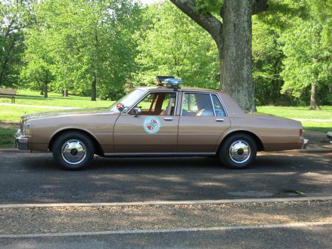 1991 Ford LTD Crown Victoria - Side view of a brown two-tone four-door sedan with a circular door emblem and rooftop beacon parked on a shaded street.