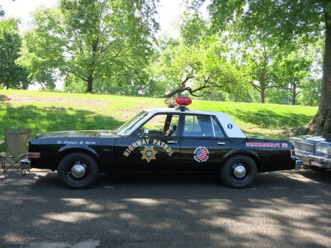 1991 Ford LTD Crown Victoria - black-and-white Highway Patrol cruiser with a red dome light and gold star decal parked in left profile by a park lawn.