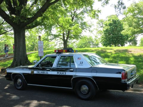 1991 Ford LTD Crown Victoria - black-and-white Trumbull Police Ford Crown Victoria with roof light bar parked in profile under a large shade tree.