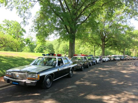 1991 Ford LTD Crown Victoria - white Chevrolet Impala police sedan heads a line of vintage cruisers parked along a tree-lined park road.