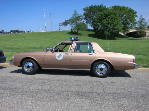 1991 Ford LTD Crown Victoria - tan four-door police sedan with a single roof light sits parked on a road beside a green hillside under a clear sky.