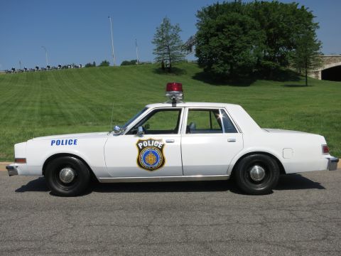 1991 Ford LTD Crown Victoria - white police sedan marked POLICE with a shield emblem and red roof light sits in profile before a grassy hill.