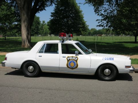 1991 Ford LTD Crown Victoria - white square-bodied police sedan with a roof lightbar and Police shield decals parked along a tree-lined park road.