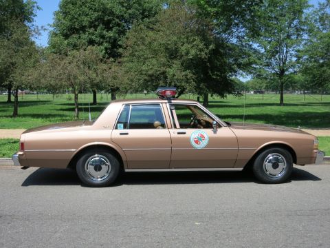 1991 Ford LTD Crown Victoria - brown four-door police sedan with a circular door seal and roof beacon parked in profile along a park road.