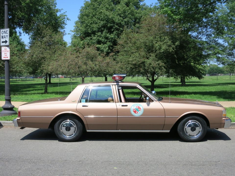 Brown police sedan with circular seal parked beside a one way sign