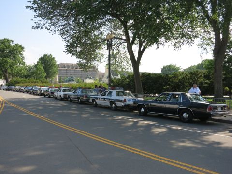 1991 Ford LTD Crown Victoria - line of older marked police sedans and a black Ford full-size sedan parked along a tree-lined street.