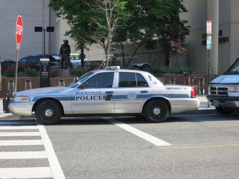 1991 Ford LTD Crown Victoria - silver and blue Ford Crown Victoria marked Rockville Police sits at a crosswalk with a statue and trees behind it.
