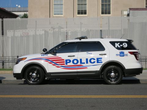 1991 Ford LTD Crown Victoria - white Ford Explorer marked Police K-9 with red and blue graphics is parked along a curb beside a chain-link fence.