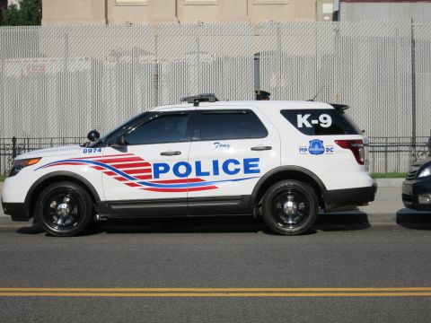 1991 Ford LTD Crown Victoria - Side view of a white Ford Explorer Police K-9 SUV with red and blue striping parked along a chain-link fence.