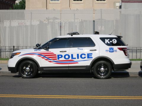1991 Ford LTD Crown Victoria - white Ford Explorer marked Police K-9 with red and blue stripe graphics parked at the curb beside a chain-link fence.