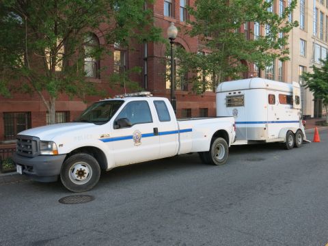 1991 Ford LTD Crown Victoria - white Ford dually Police pickup truck towing a white horse trailer is parked along a curb in front of a brick building.