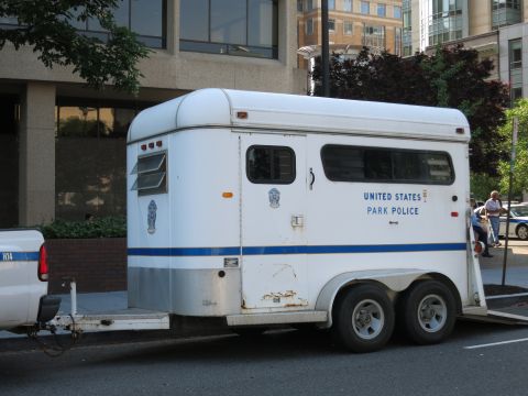 1991 Ford LTD Crown Victoria - weathered white horse trailer marked United States Park Police is hitched to a pickup and parked along a city street.
