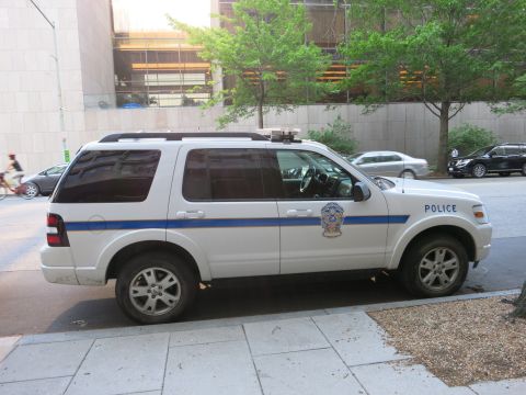 1991 Ford LTD Crown Victoria - white police SUV with blue stripe and agency badge parked partly on a sidewalk near city trees.
