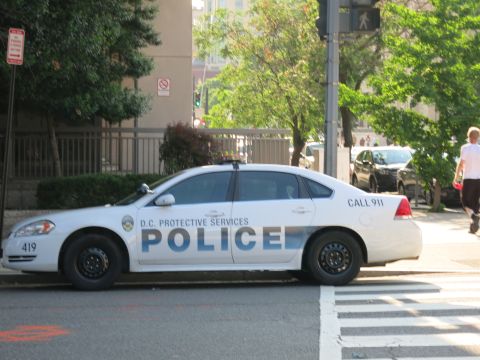 1991 Ford LTD Crown Victoria - white D.C. Protective Services police sedan unit 419 parked along a curb near a crosswalk and trees.