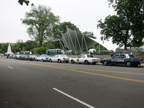 1991 Ford LTD Crown Victoria - Several vintage police cruisers parked nose-to-tail along a city street near a sculptural white tent canopy.