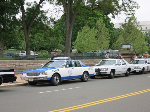 1991 Ford LTD Crown Victoria - line of older police cars including a blue and white cruiser parked along a curb beside a low stone wall and trees.
