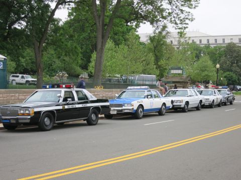 1991 Ford LTD Crown Victoria - Several classic police cars parked nose-to-tail along a city street with trees and a large pale building behind.