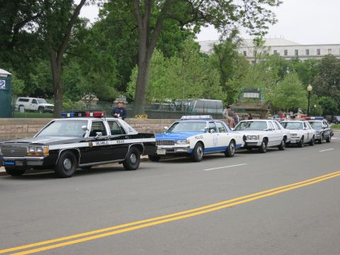 1991 Ford LTD Crown Victoria - row of older police cruisers, led by a black and white Trumbull car, parked along a curb beside trees and a stone wall.