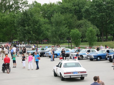 1991 Ford LTD Crown Victoria - row of classic police cars sits on display in a paved plaza as spectators walk among them near a tree-lined lawn.