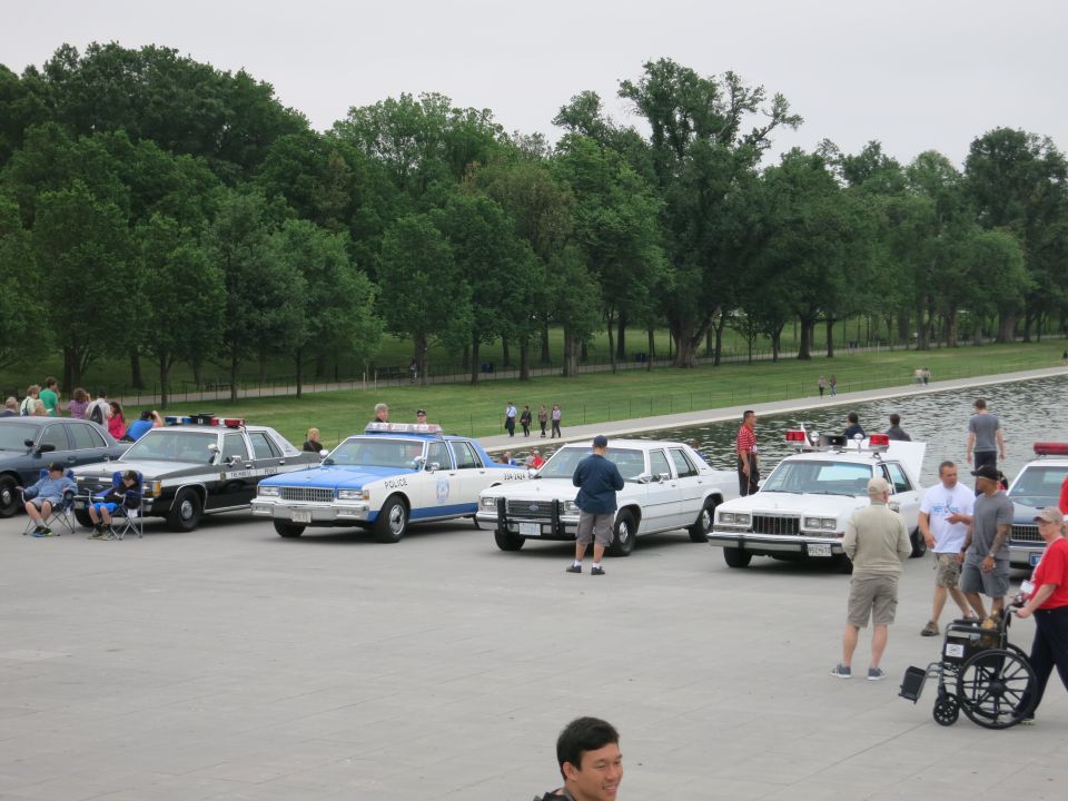 Antique police cruisers parked beside a reflecting pool with onlookers