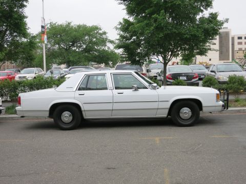 1991 Ford LTD Crown Victoria - plain white Ford sedan with blackwall tires and dog-dish hubcaps is parked in a lot among trees, with no visible markings.